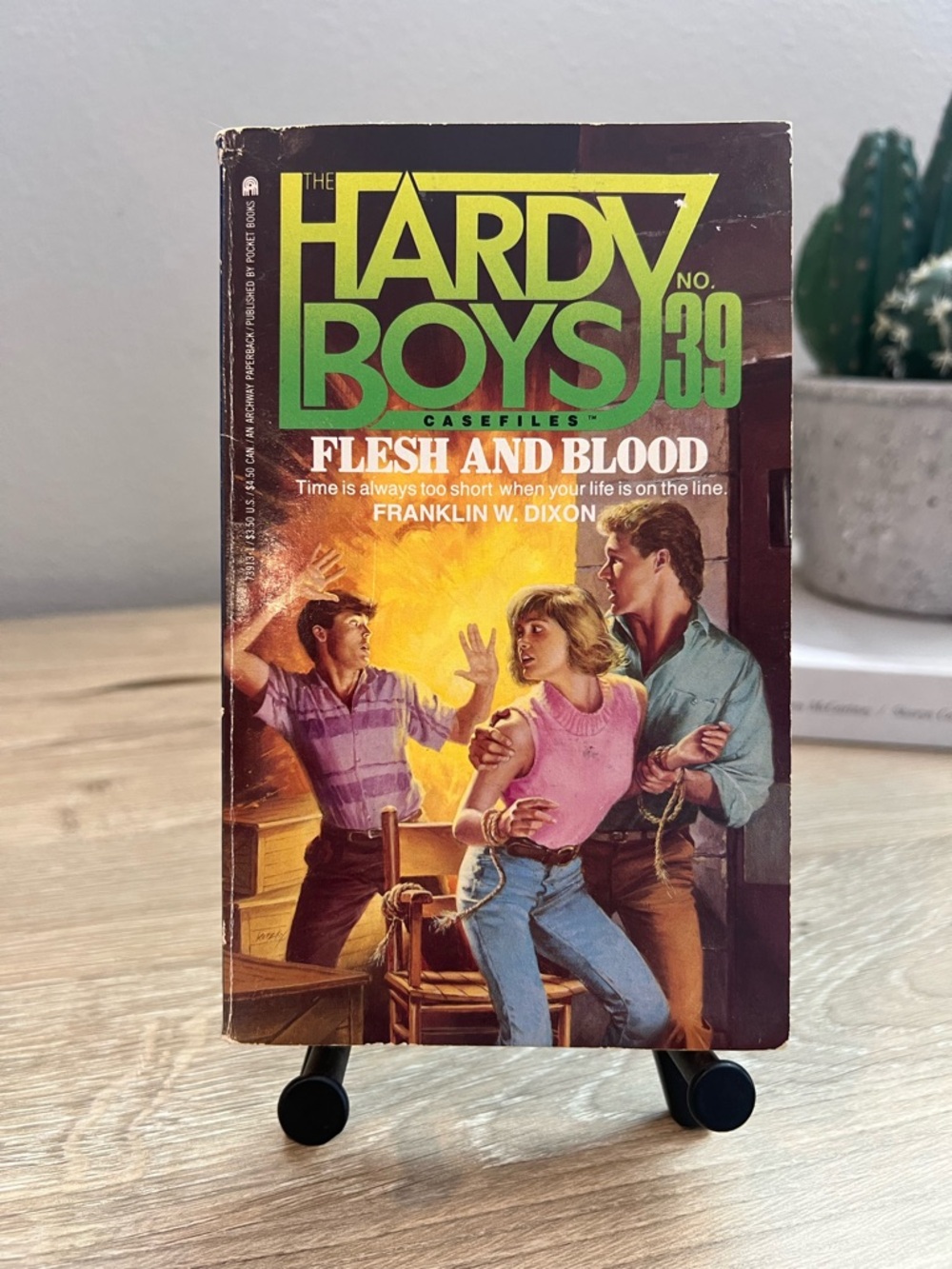 Vintage Hardy Boys Casefiles #39 Flesh and Blood 1990 Paperback YA Mystery